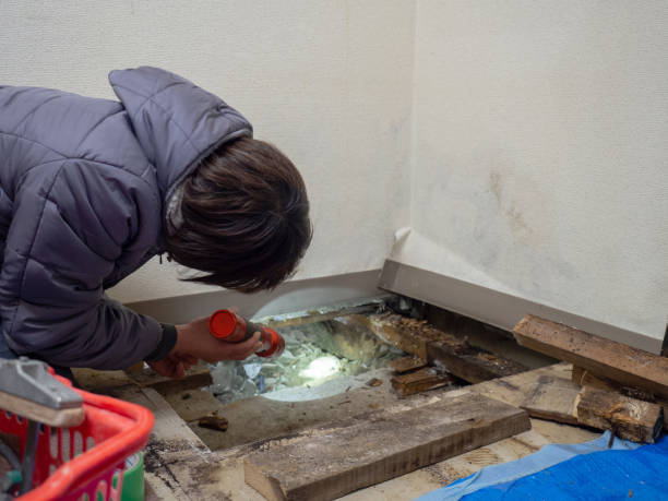 Best Comprehensive Air Testing for Mold Contaminants  in Rice Lake, WI