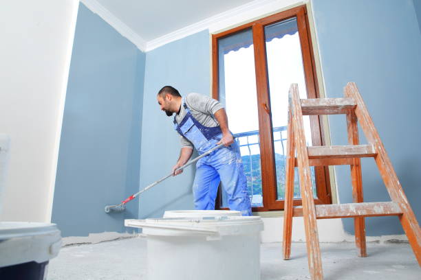 Best Mold Odor Removal Services  in Rice Lake, WI