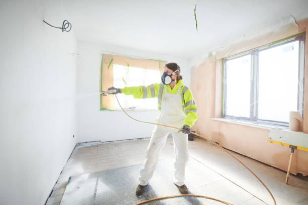 Professional Mold Removal in Rice Lake, WI
