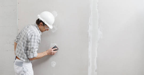 Best Post-Construction Mold Inspection  in Rice Lake, WI
