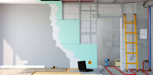 Best Environmental Consulting for Mold Prevention  in Rice Lake, WI
