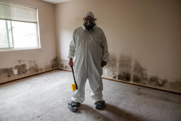 Best Forensic Mold Investigation  in Rice Lake, WI