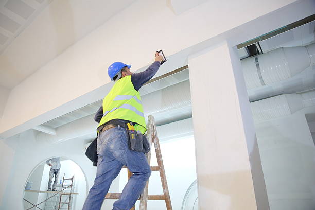 Best Real Estate Mold Inspection  in Rice Lake, WI