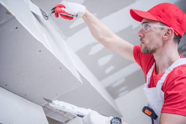Best Industrial Mold Remediation  in Rice Lake, WI